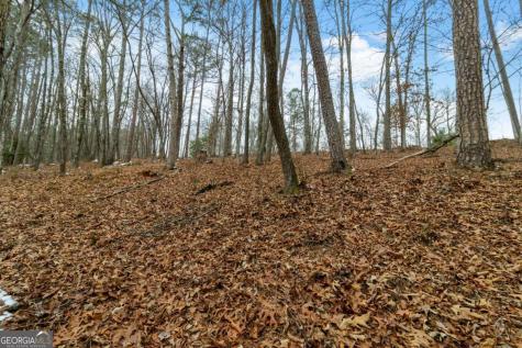 Lot 5 Curtis Ridge Road Blue Ridge GA 30513