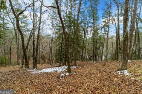 Lot 5 Curtis Ridge Road Blue Ridge GA 30513