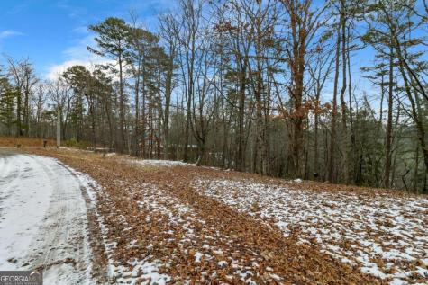 Lot 5 Curtis Ridge Road Blue Ridge GA 30513