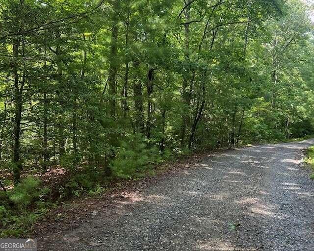 0 Hillbilly Holler Blue Ridge GA 30513