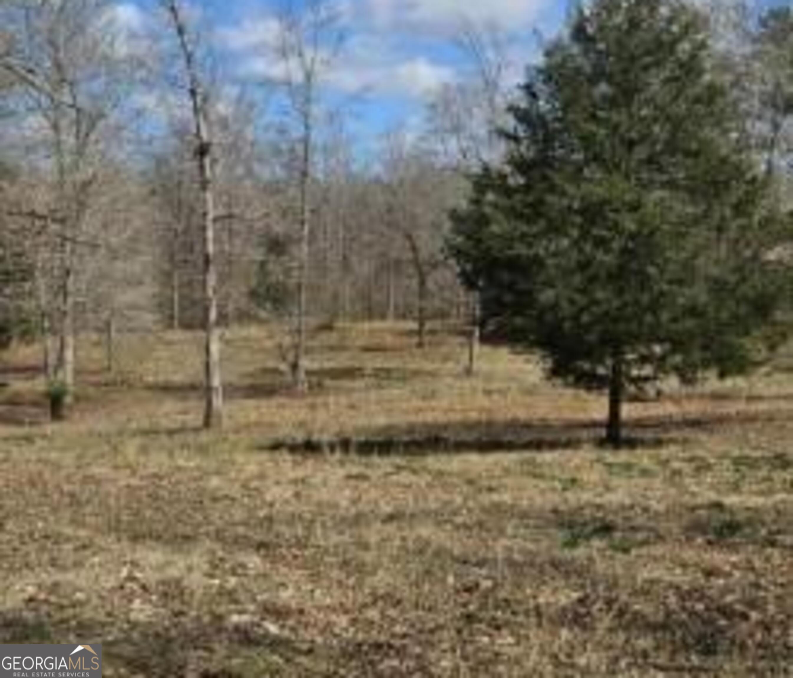 486 Walthall Road Jackson GA 30233