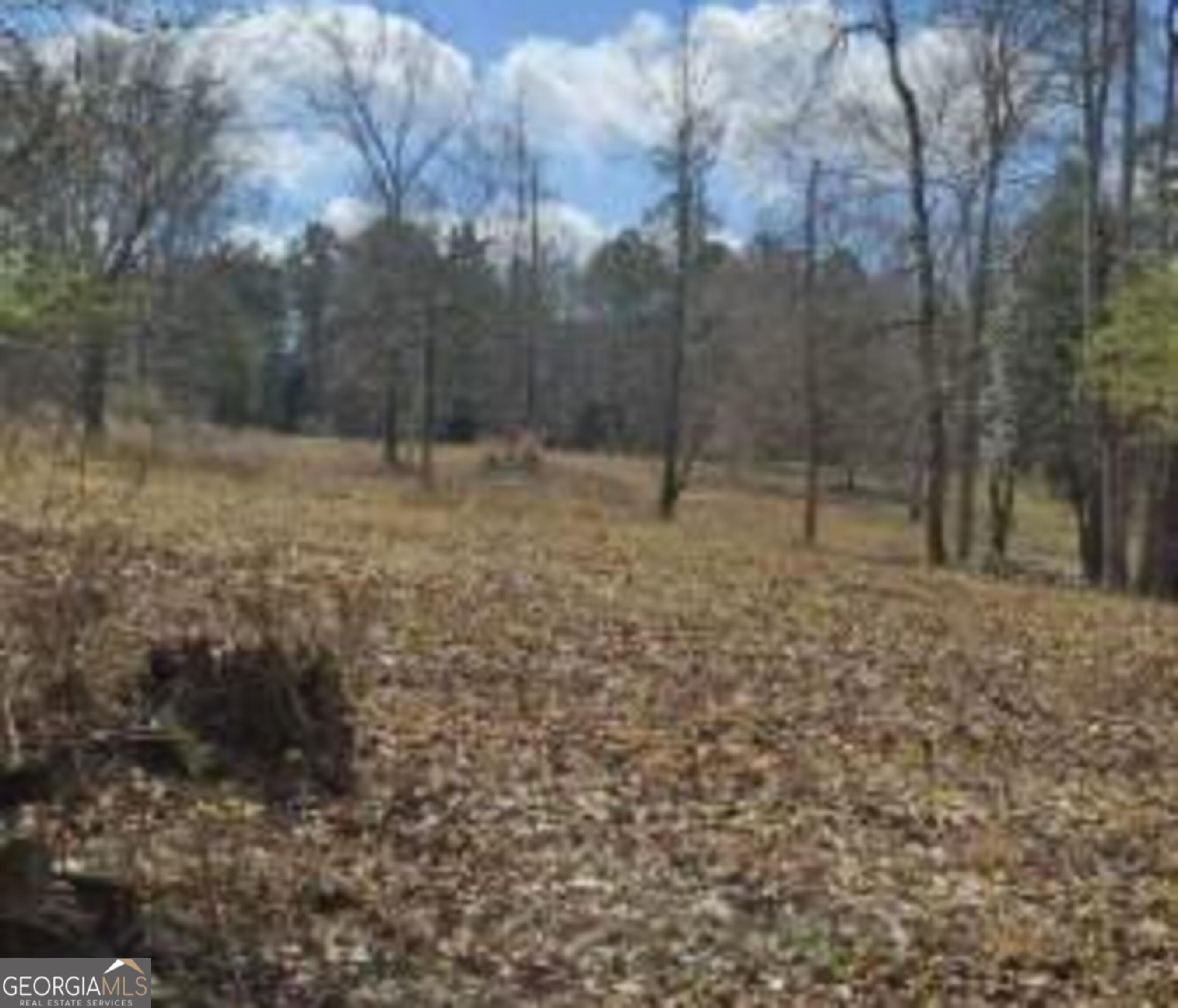 486 Walthall Road Jackson GA 30233