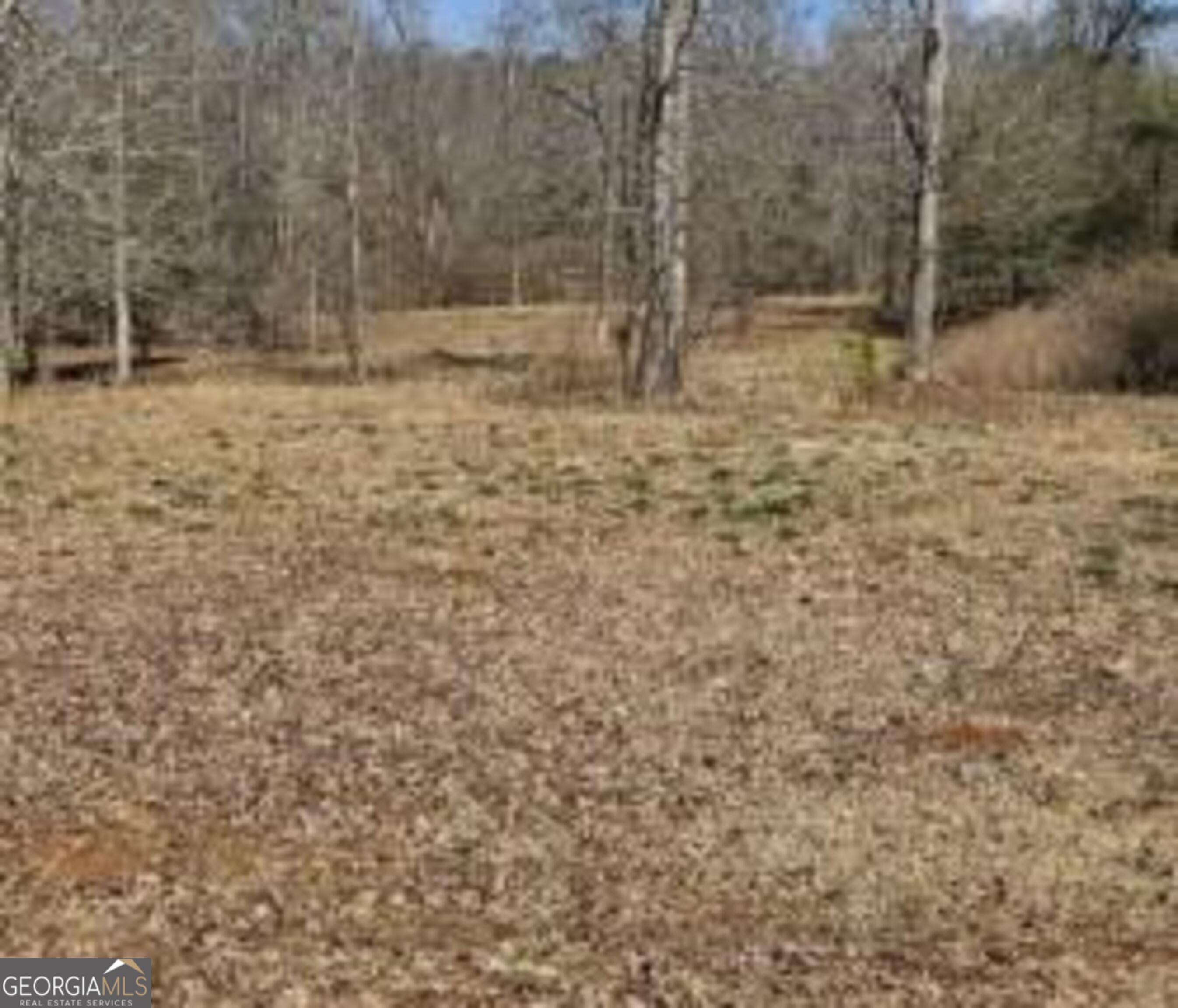 486 Walthall Road Jackson GA 30233