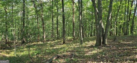 0 Firetower Road Jasper GA 30143