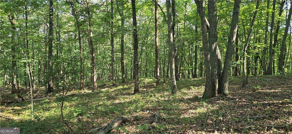 0 Firetower Road Jasper GA 30143