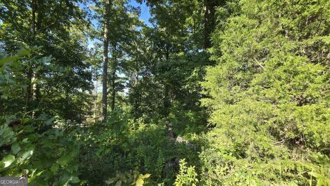 Lots 5 & 5a Chatuge Cove Greens Hayesville NC 28904