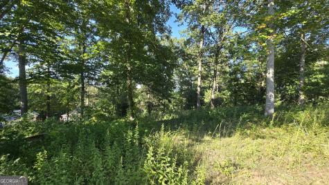 Lots 5 & 5a Chatuge Cove Greens Hayesville NC 28904