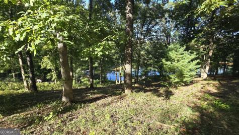 Lots 5 & 5a Chatuge Cove Greens Hayesville NC 28904