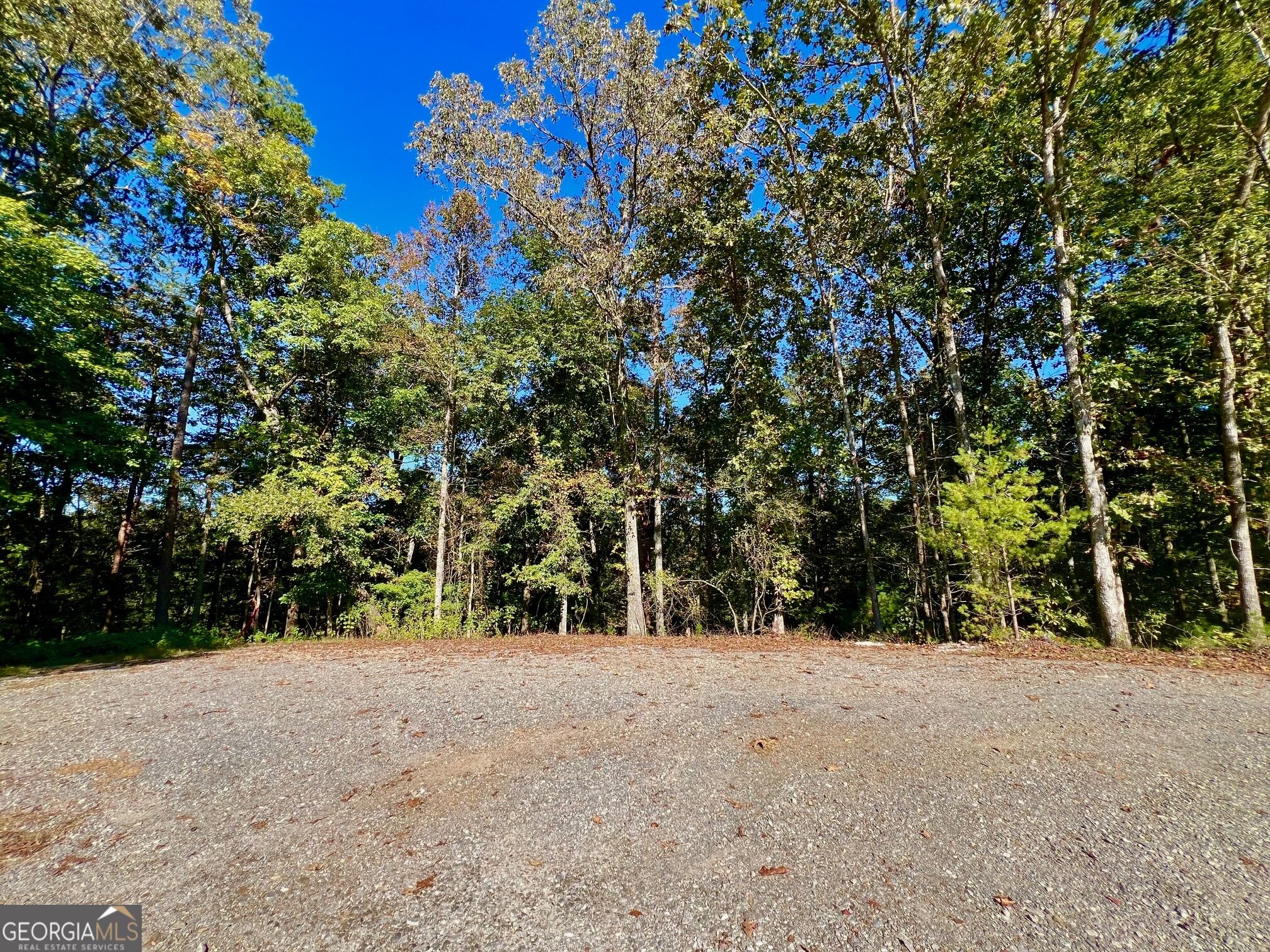 0 Rebekah Ridge Road Talking Rock GA 30175