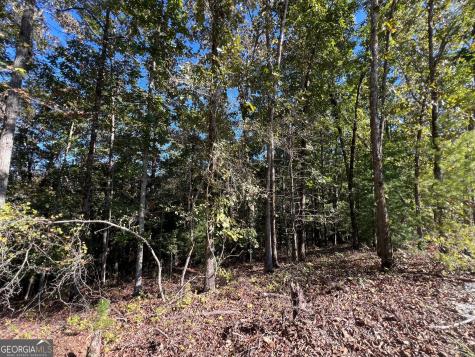 0 Rebekah Ridge Road Talking Rock GA 30175