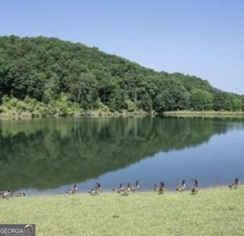 0 Rebekah Ridge Road Talking Rock GA 30175