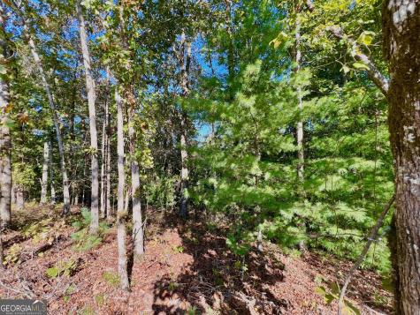 0 Rebekah Ridge Road Talking Rock GA 30175
