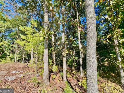 0 Rebekah Ridge Road Talking Rock GA 30175