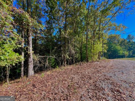 0 Rebekah Ridge Road Talking Rock GA 30175