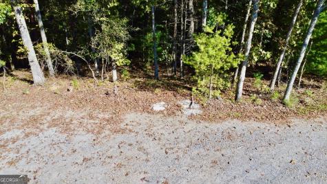 0 Rebekah Ridge Road Talking Rock GA 30175