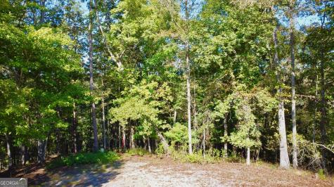 0 Rebekah Ridge Road Talking Rock GA 30175