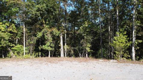 0 Rebekah Ridge Road Talking Rock GA 30175