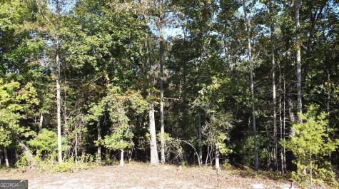 0 Rebekah Ridge Road Talking Rock GA 30175