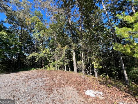0 Rebekah Ridge Road Talking Rock GA 30175