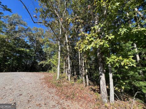 0 Rebekah Ridge Road Talking Rock GA 30175