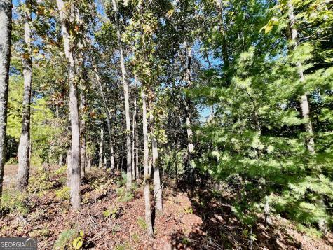 0 Rebekah Ridge Road Talking Rock GA 30175