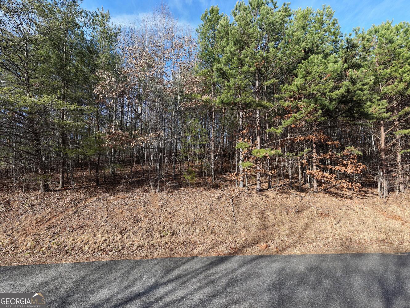 41 Hidden Fields Road Hiawassee GA 30546