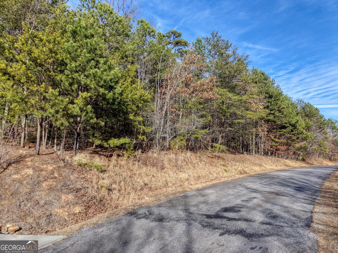 41 Hidden Fields Road Hiawassee GA 30546