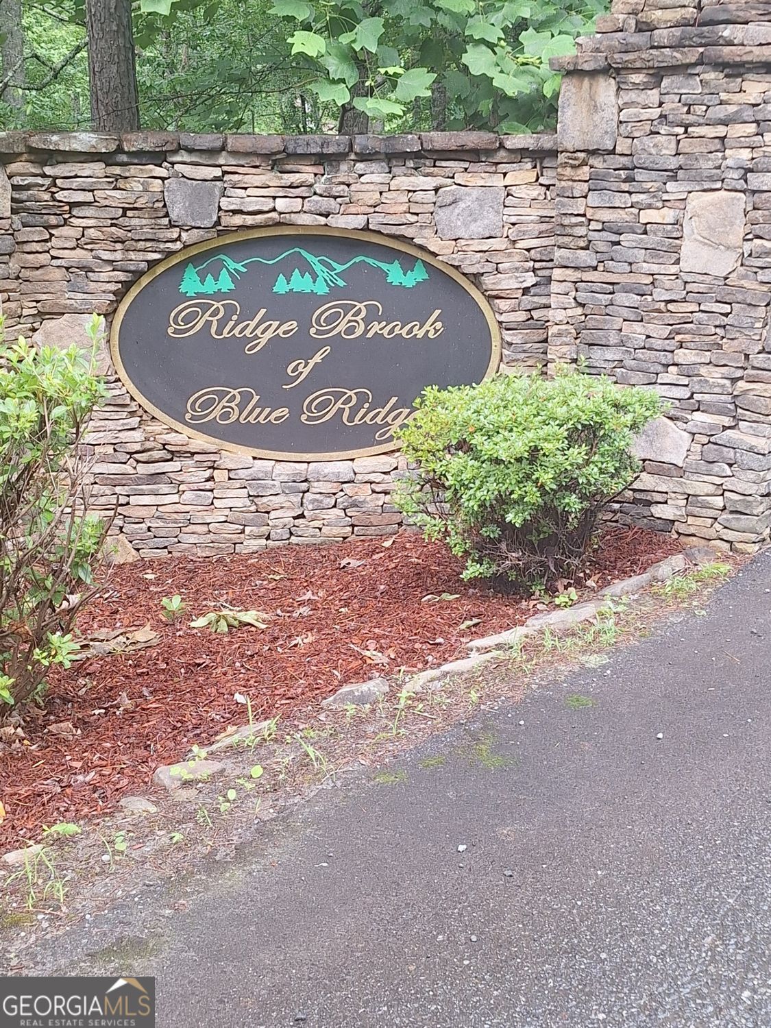 Lot 22 Meadow Brook Trail Morganton GA 30560