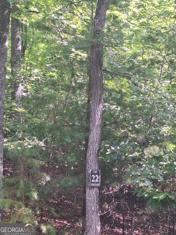 Lot 22 Meadow Brook Trail Morganton GA 30560