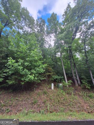 Lot 22 Meadow Brook Trail Morganton GA 30560