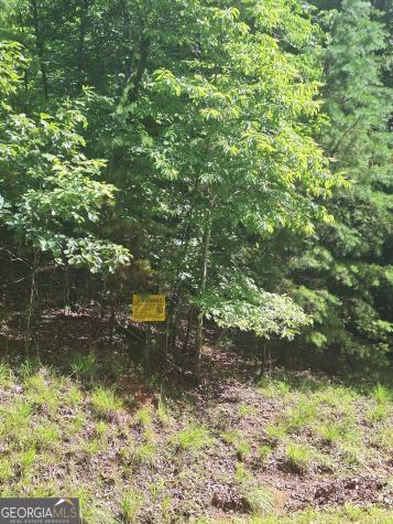 Lot 22 Meadow Brook Trail Morganton GA 30560