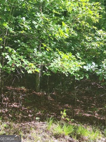 Lot 22 Meadow Brook Trail Morganton GA 30560