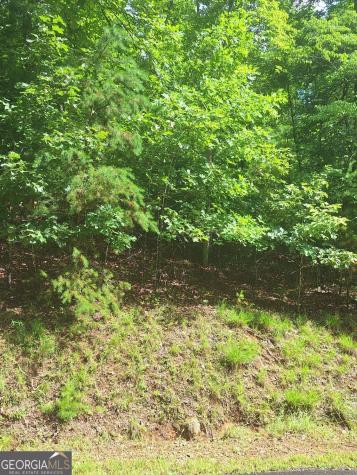 Lot 22 Meadow Brook Trail Morganton GA 30560