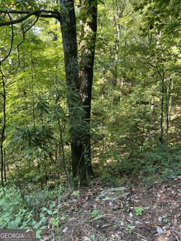 0 Tuckaway Lane Clayton GA 30525