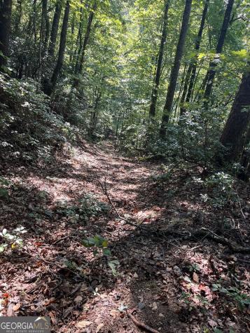 0 Tuckaway Lane Clayton GA 30525