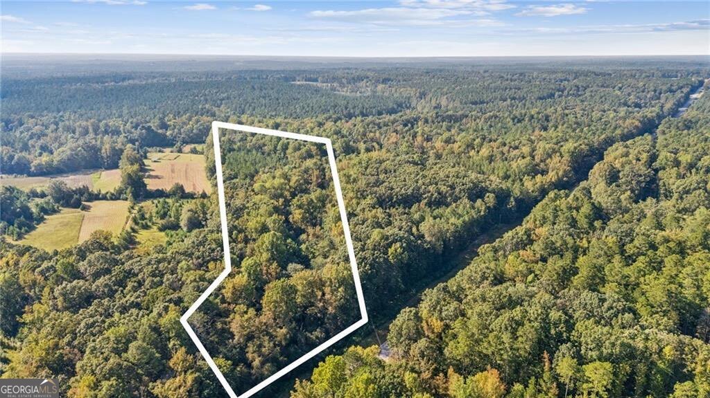 0 Elberton Road Carlton GA 30627