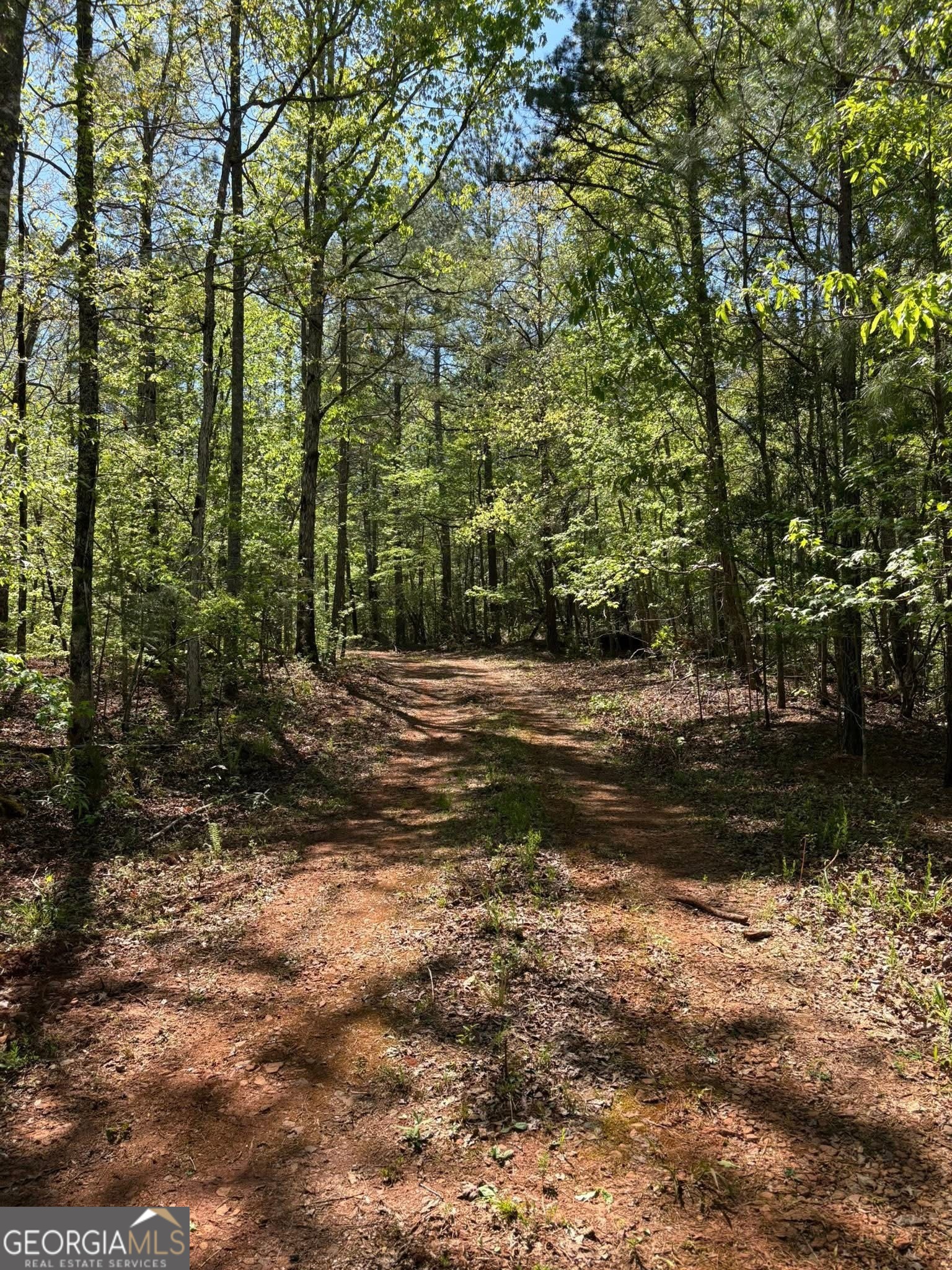 0 Off North Taylor Road Woodland GA 31836