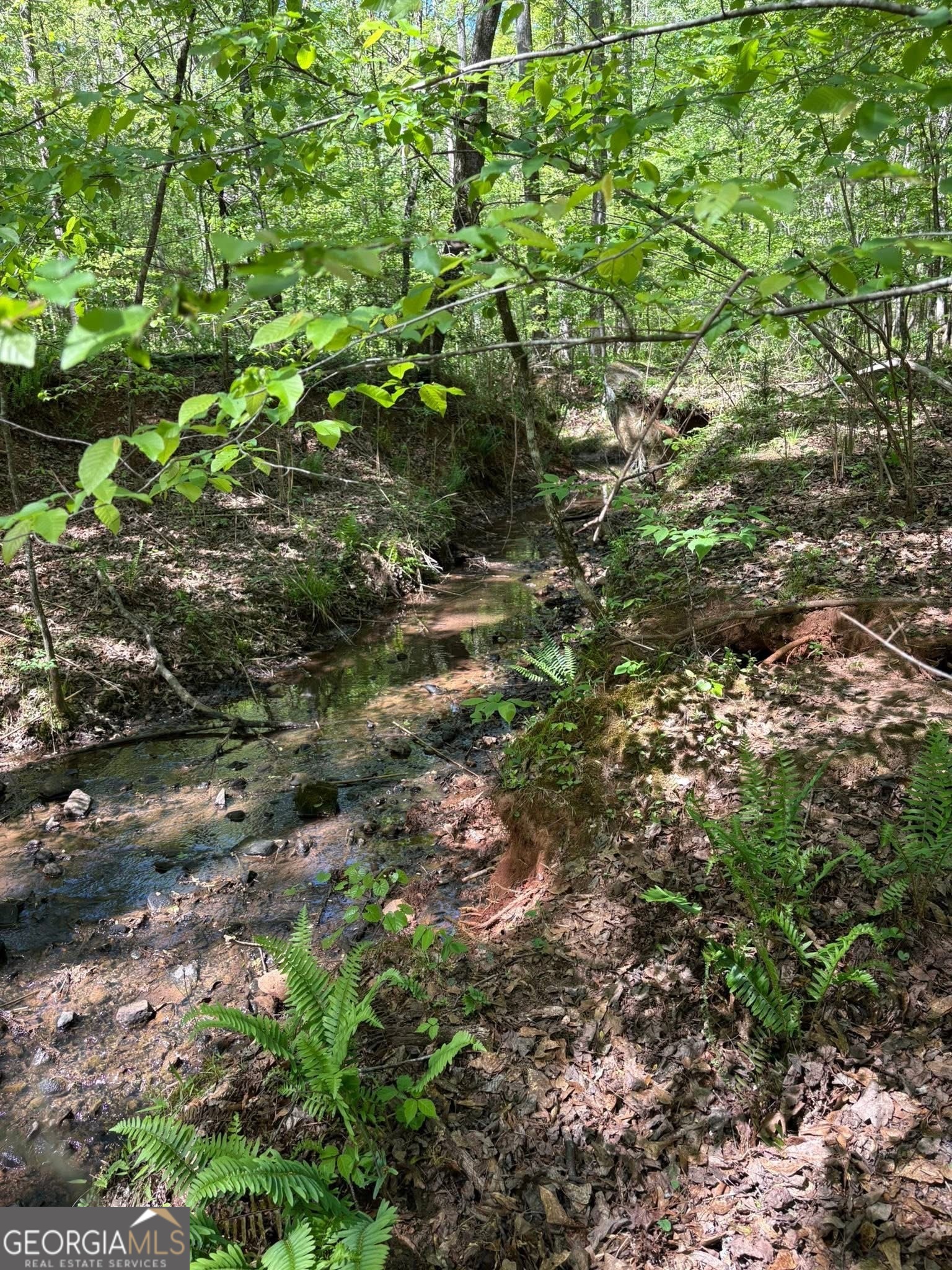 0 Off North Taylor Road Woodland GA 31836