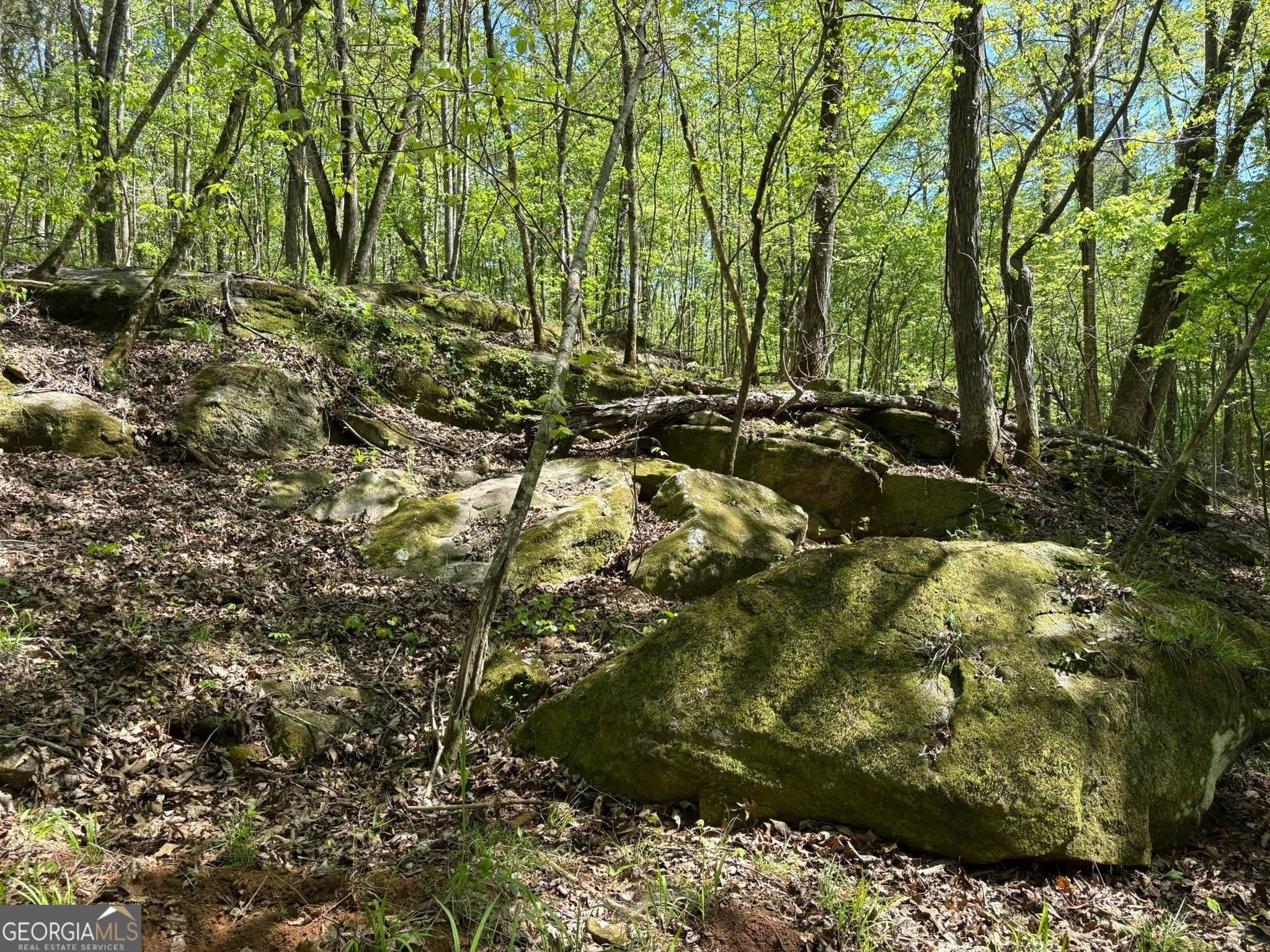 0 Off North Taylor Road Woodland GA 31836