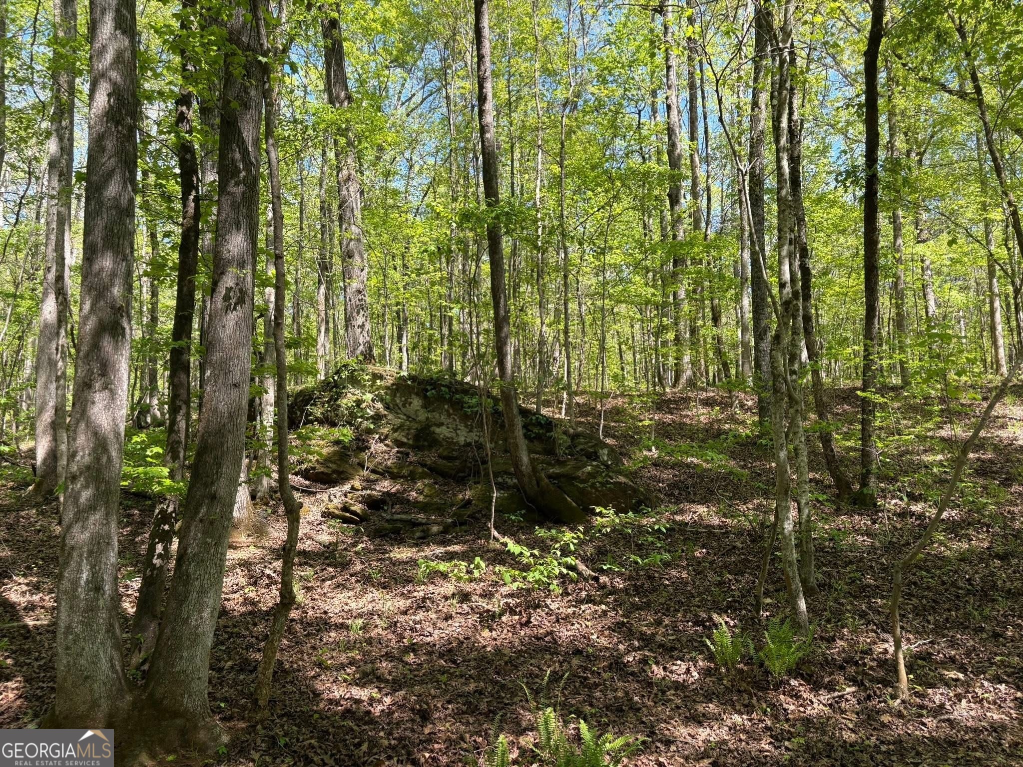 0 Off North Taylor Road Woodland GA 31836