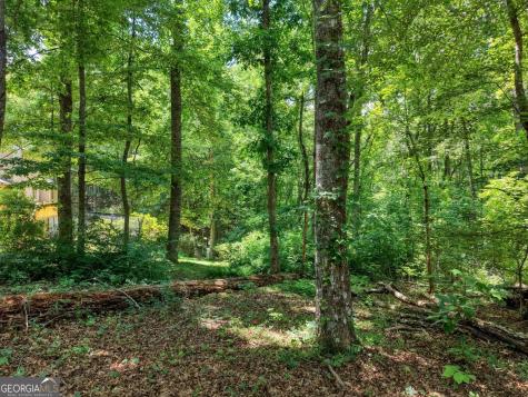 14 B Breezewood Village Young Harris GA 30582