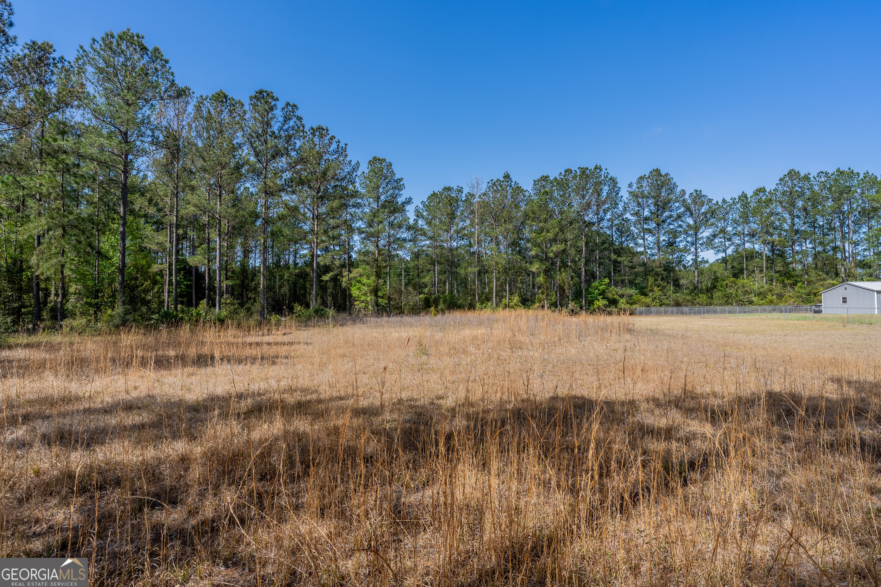 0 Highway 110 (2.02 Acres) W Hortense GA 31543