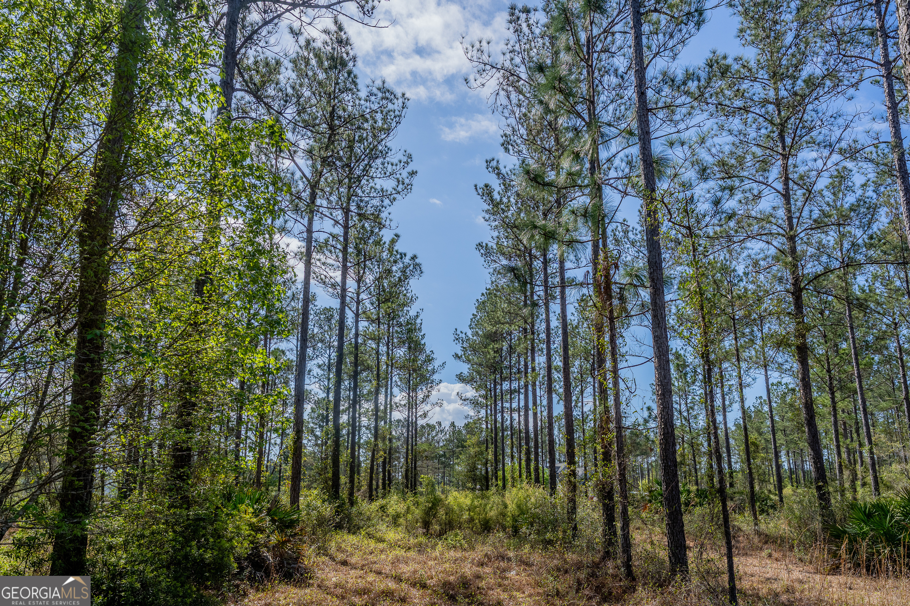 0 Highway 110 (2.02 Acres) W Hortense GA 31543