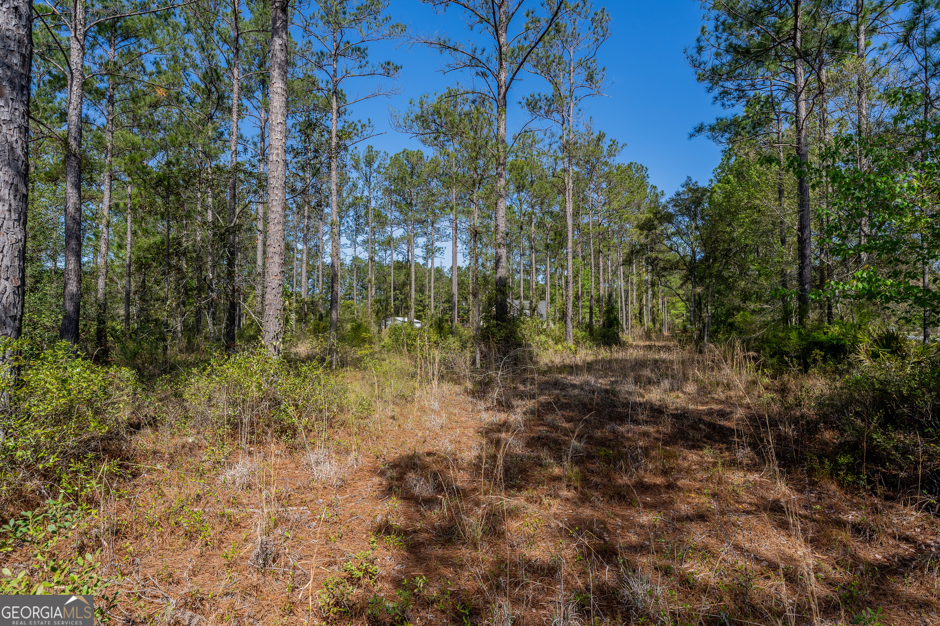 0 Highway 110 (2.02 Acres) W Hortense GA 31543