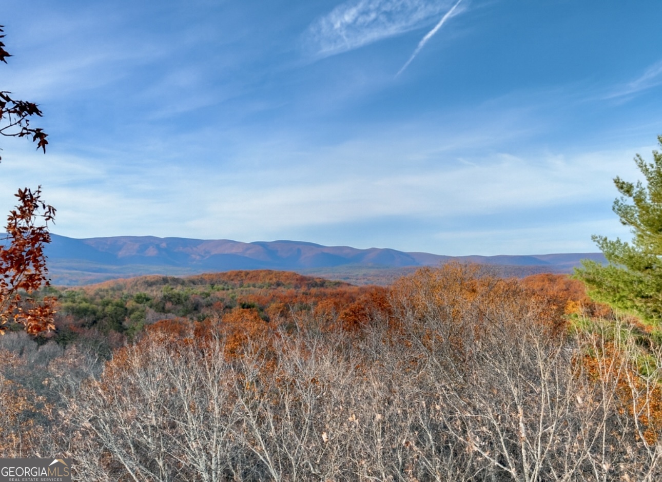 0 Creek Camp Road Ellijay GA 30536
