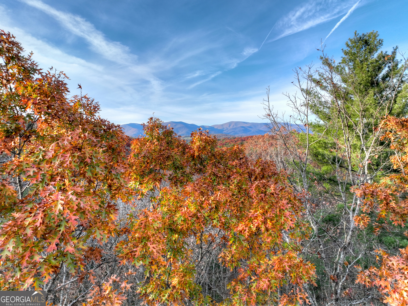 0 Creek Camp Road Ellijay GA 30536