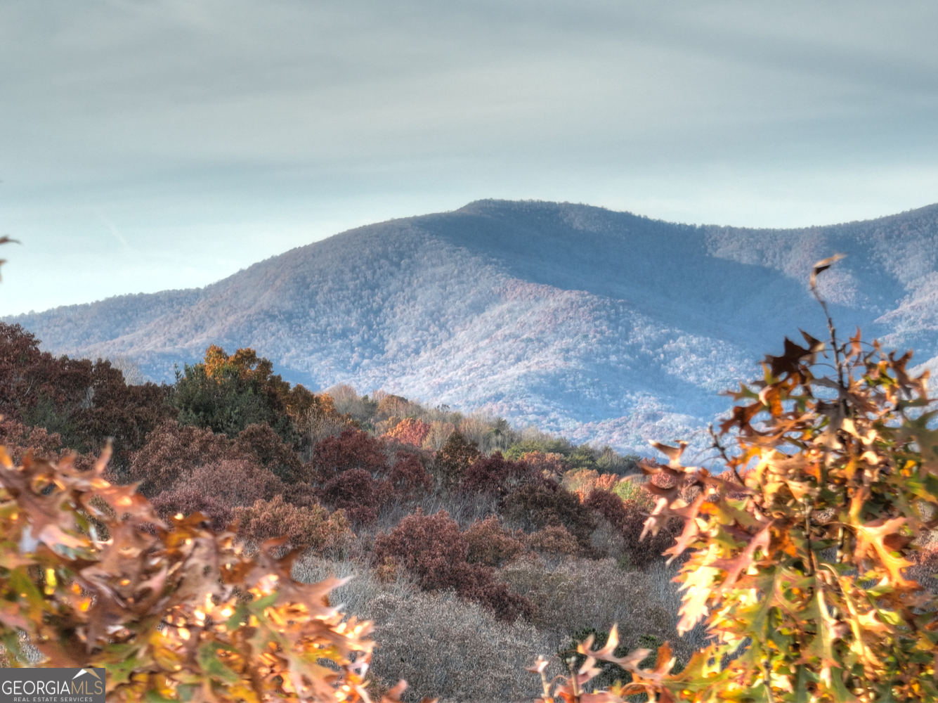 0 Creek Camp Road Ellijay GA 30536