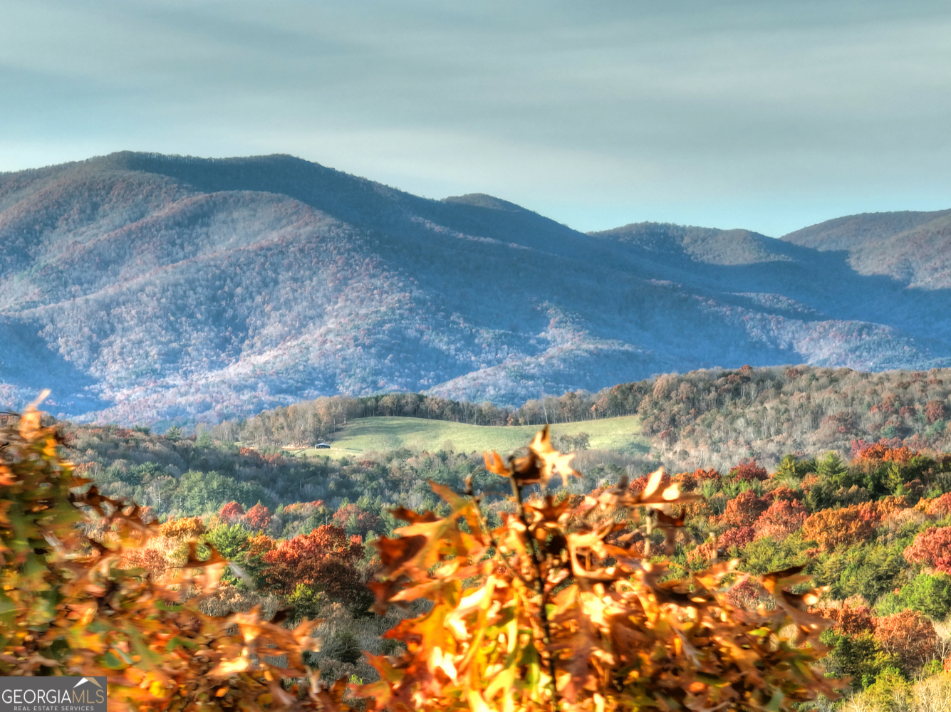0 Creek Camp Road Ellijay GA 30536