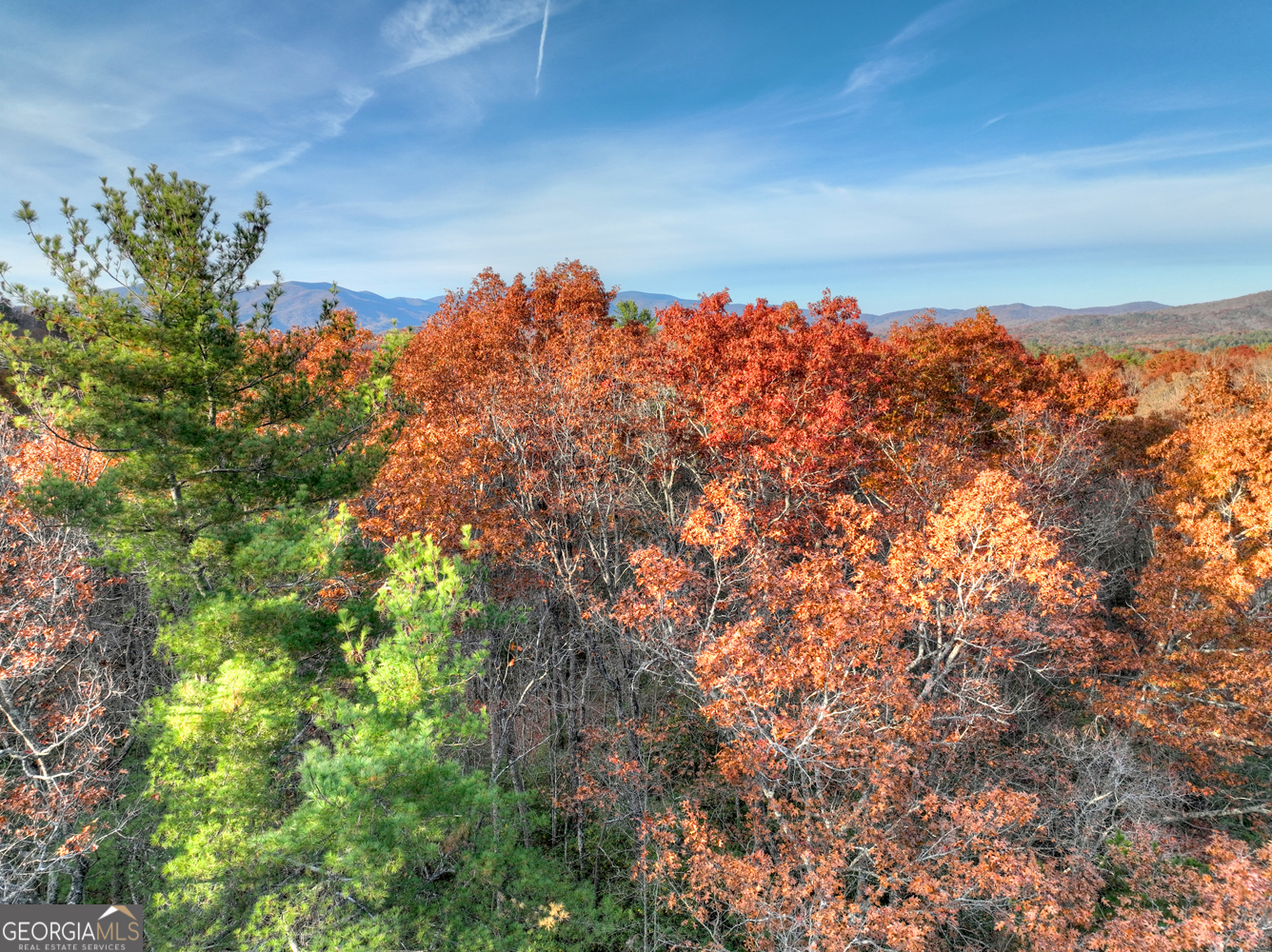 0 Creek Camp Road Ellijay GA 30536