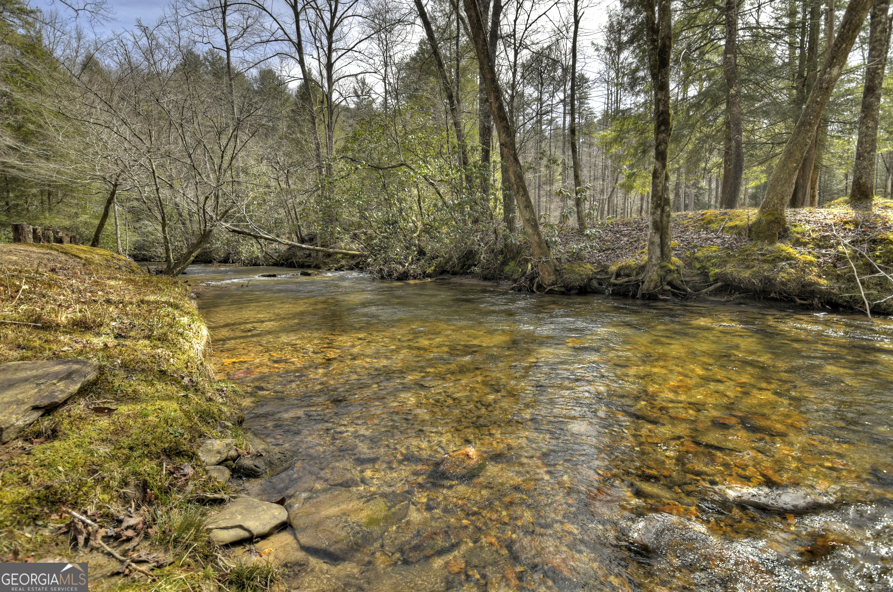 0 Creek Camp Road Ellijay GA 30536